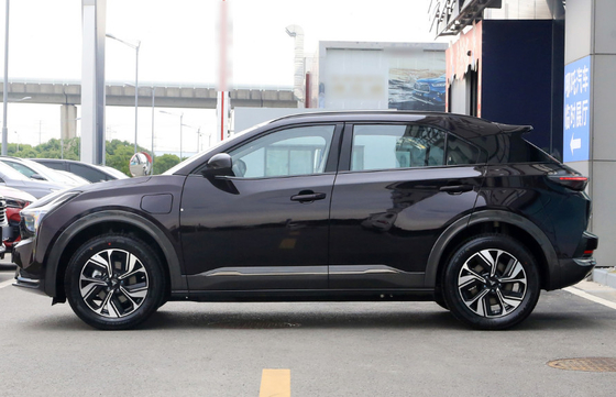 type de 400km LFP petit SUV électrique avec la batterie de phosphate de fer de lithium