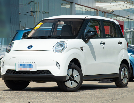 LINGBOX Mini Cars électrique 4 seaters avec la résistance de 205KM conduisant des gardes forestières