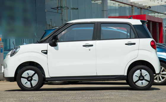 LINGBOX Mini Cars électrique 4 seaters avec la résistance de 205KM conduisant des gardes forestières