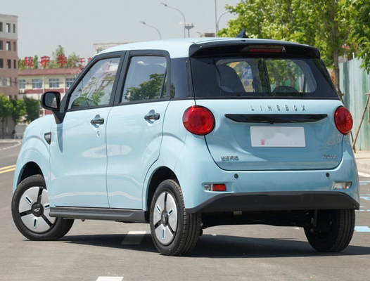 Main gauche de LINGBOX conduisant le champ d'exercice des portes 140km de Mini Suv Electric 5