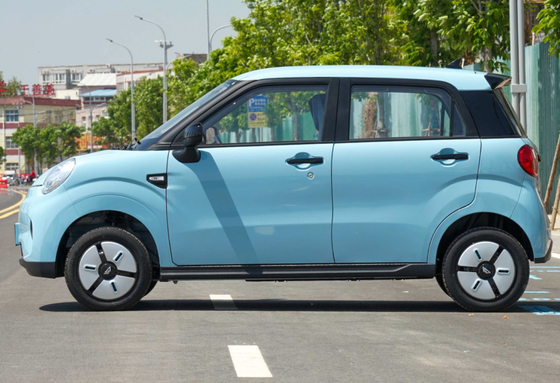 Main gauche de LINGBOX conduisant le champ d'exercice des portes 140km de Mini Suv Electric 5